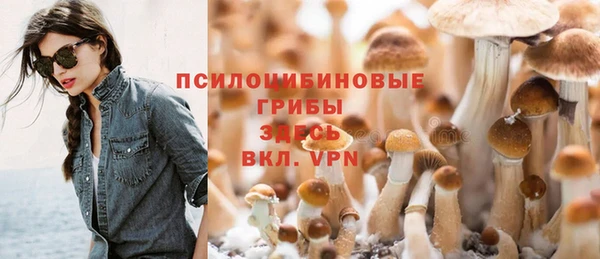 каннабис Арсеньев