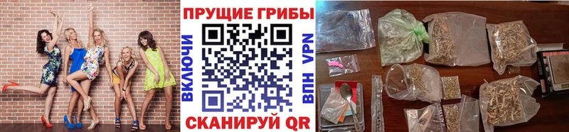 Галлюциногенные грибы мухоморы  OMG зеркало  Порхов 